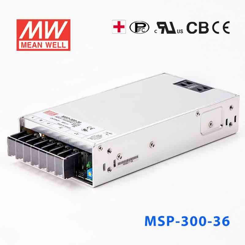 MSP-300-36